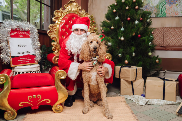 Yappy Xmas